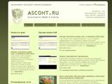 Открытие новостной ленты на сайте Ascont.ru